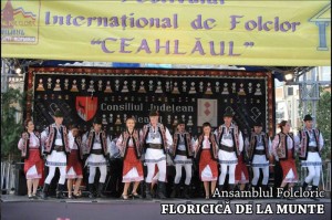 Floricica-de-la-munte